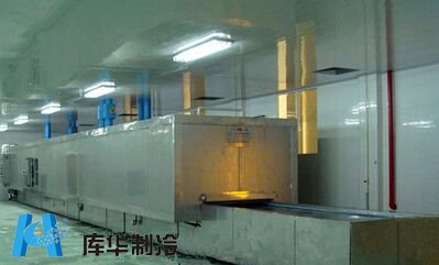 冷庫(kù)速凍隧道的安裝設(shè)計(jì)特點(diǎn)有哪些?